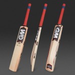 GM Purist 909 English Willow Cricket Bat